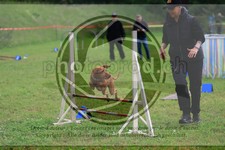 ref. photo 3614098