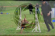 ref. photo 3614099