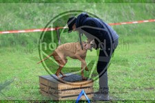 ref. photo 3614100