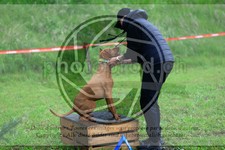 ref. photo 3614101