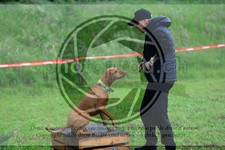 ref. photo 3614103