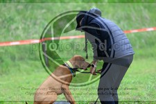 ref. photo 3614105
