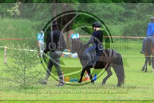 ref. photo 3614106