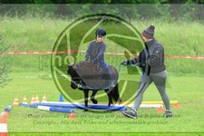 ref. photo 3614109
