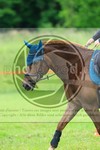 ref. photo 3614143
