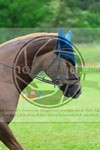 ref. photo 3614146
