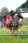 ref. photo 3614155
