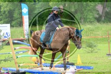ref. photo 3614157