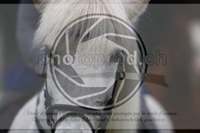 ref. photo 3614167