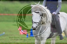 ref. photo 3614183