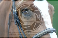 ref. photo 3614187