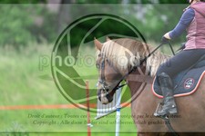 ref. photo 3614200