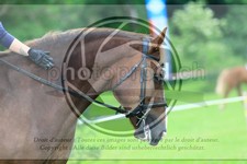 ref. photo 3614214