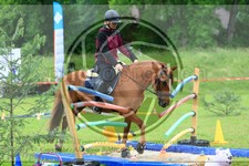 ref. photo 3614222