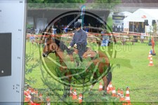ref. photo 3614246