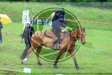 ref. photo 3614258