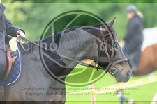 ref. photo 3614282