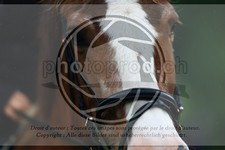 ref. photo 3614304