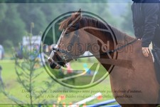 ref. photo 3614342