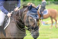 ref. photo 3614391
