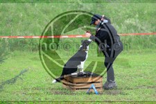 ref. photo 3614422