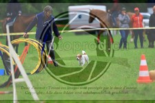ref. photo 3614424