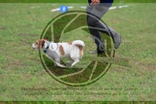 ref. photo 3614431