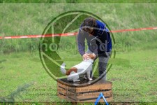 ref. photo 3614433