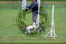 ref. photo 3614441