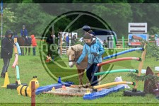 ref. photo 3614491