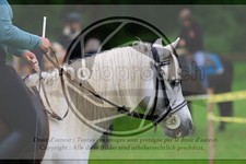 ref. photo 3614516