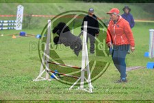 ref. photo 3614529