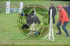 ref. photo 3614530