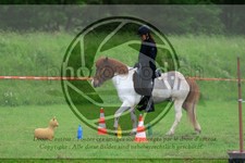 ref. photo 3614648