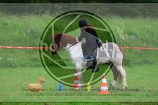 ref. photo 3614649