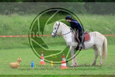 ref. photo 3614739
