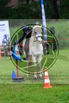 ref. photo 3614744