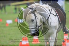 ref. photo 3614750