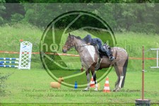 ref. photo 3614764