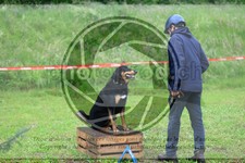 ref. photo 3614783