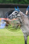ref. photo 3614862