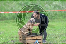ref. photo 3614885