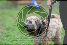 ref. photo 3614887
