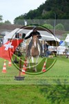 ref. photo 3614914