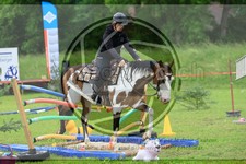 ref. photo 3614945