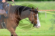 ref. photo 3614989