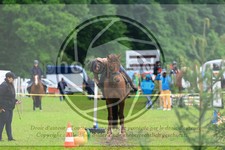 ref. photo 3615001