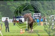 ref. photo 3615002