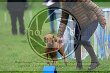 ref. photo 3615015