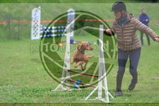 ref. photo 3615016